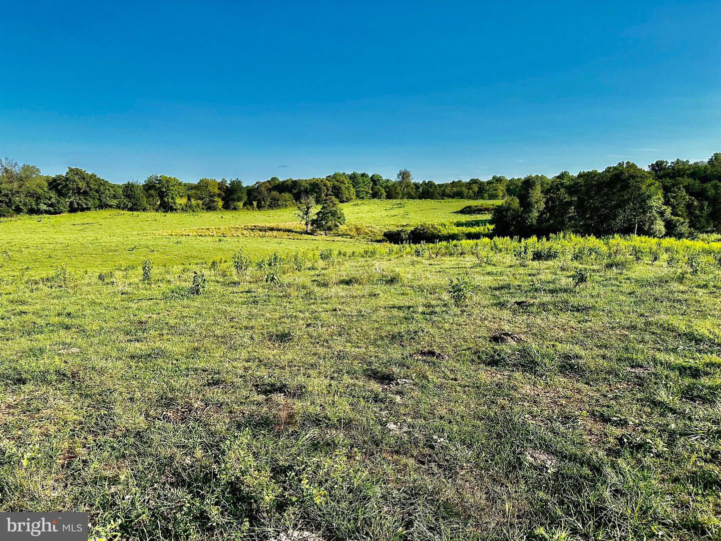 PASTURE LANE, MARSHALL, Virginia 20115, ,Farm,For sale,PASTURE LANE,VAFQ2013816 MLS # VAFQ2013816