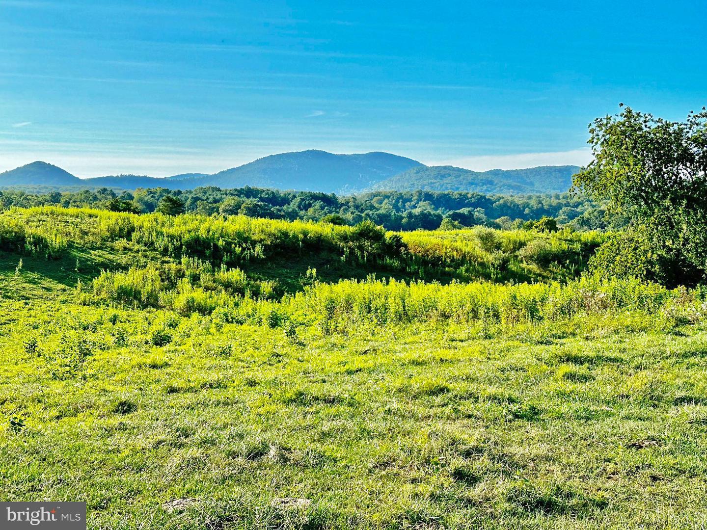 PASTURE LANE, MARSHALL, Virginia 20115, ,Farm,For sale,PASTURE LANE,VAFQ2013816 MLS # VAFQ2013816