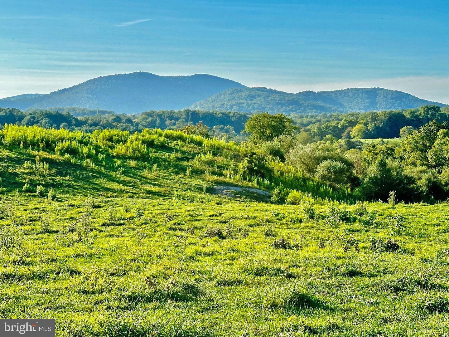 PASTURE LANE, MARSHALL, Virginia 20115, ,Farm,For sale,PASTURE LANE,VAFQ2013816 MLS # VAFQ2013816