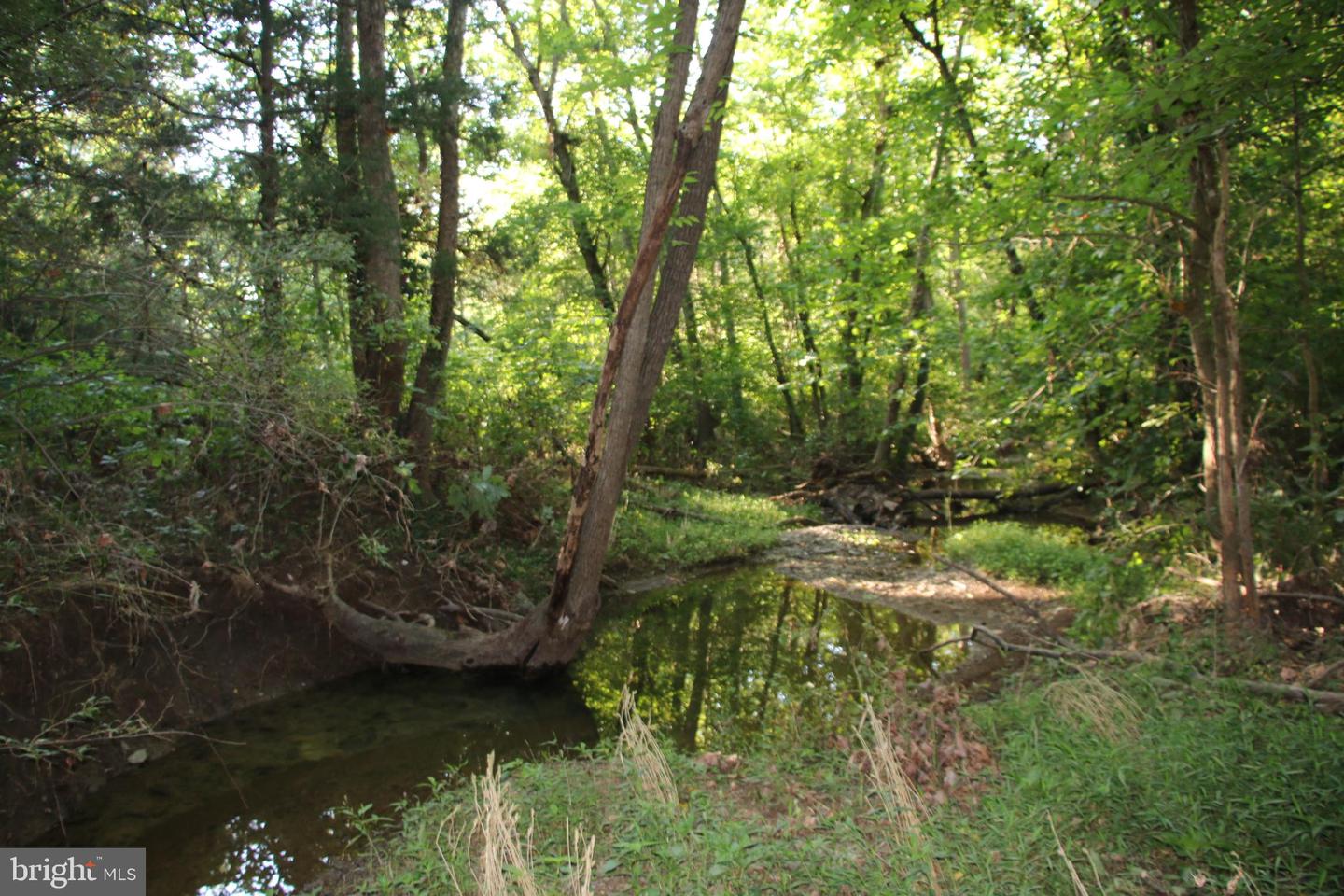 SULPHUR SPRING RD, MIDDLETOWN, Virginia 22645, ,Land,For sale,SULPHUR SPRING RD,VAWR2008974 MLS # VAWR2008974