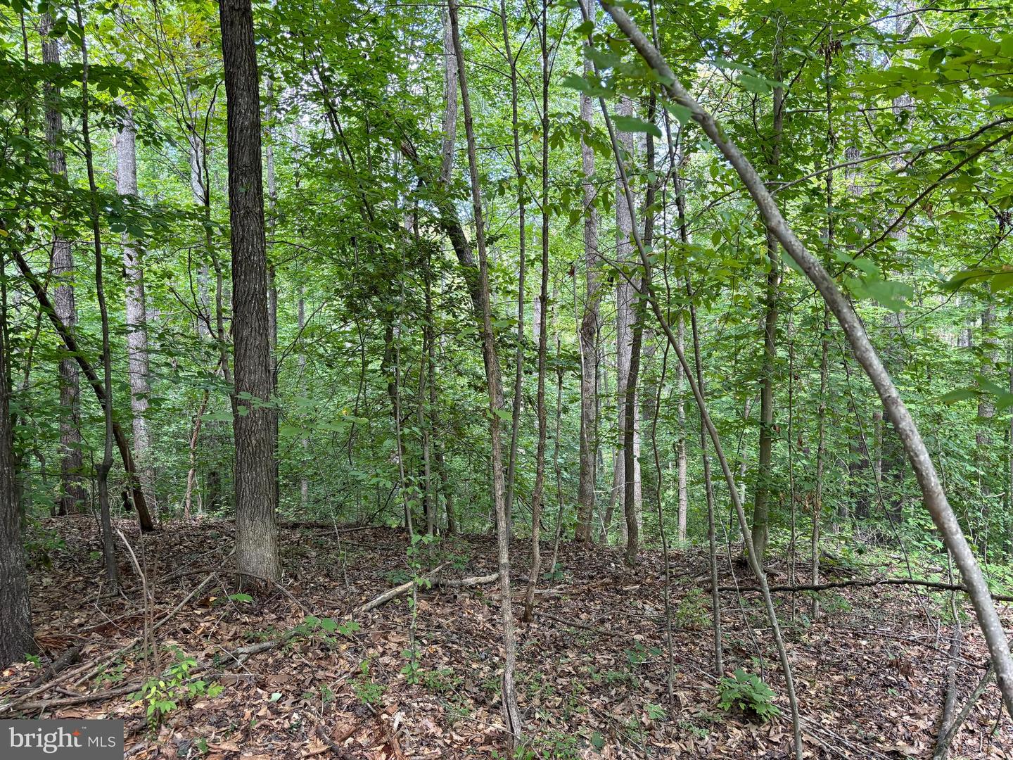 LOT 154 ERIN LANE, MINERAL, Virginia 23117, ,Land,For sale,LOT 154 ERIN LANE,VALA2006340 MLS # VALA2006340