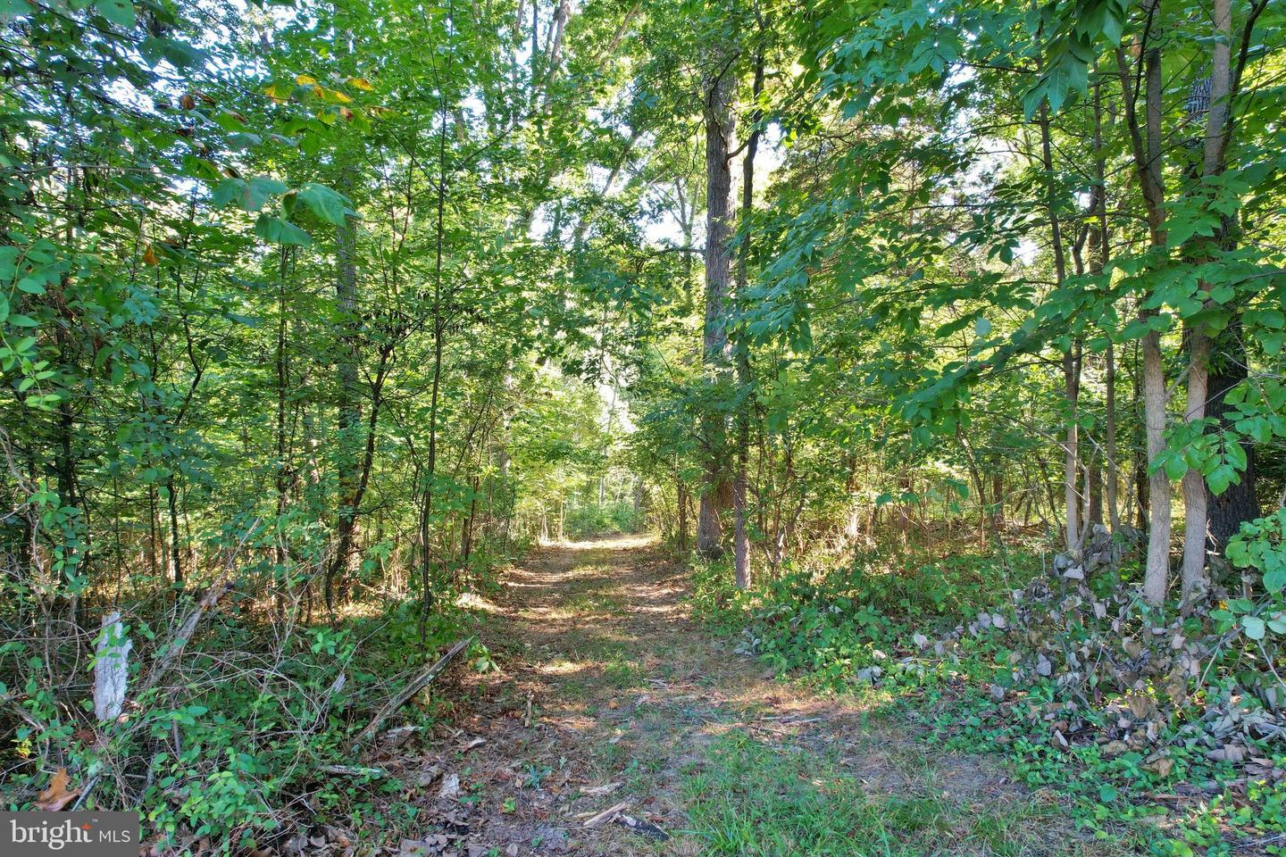 OAK HAVEN LN, NEW MARKET, Virginia 22844, ,Land,For sale,OAK HAVEN LN,VASH2009510 MLS # VASH2009510