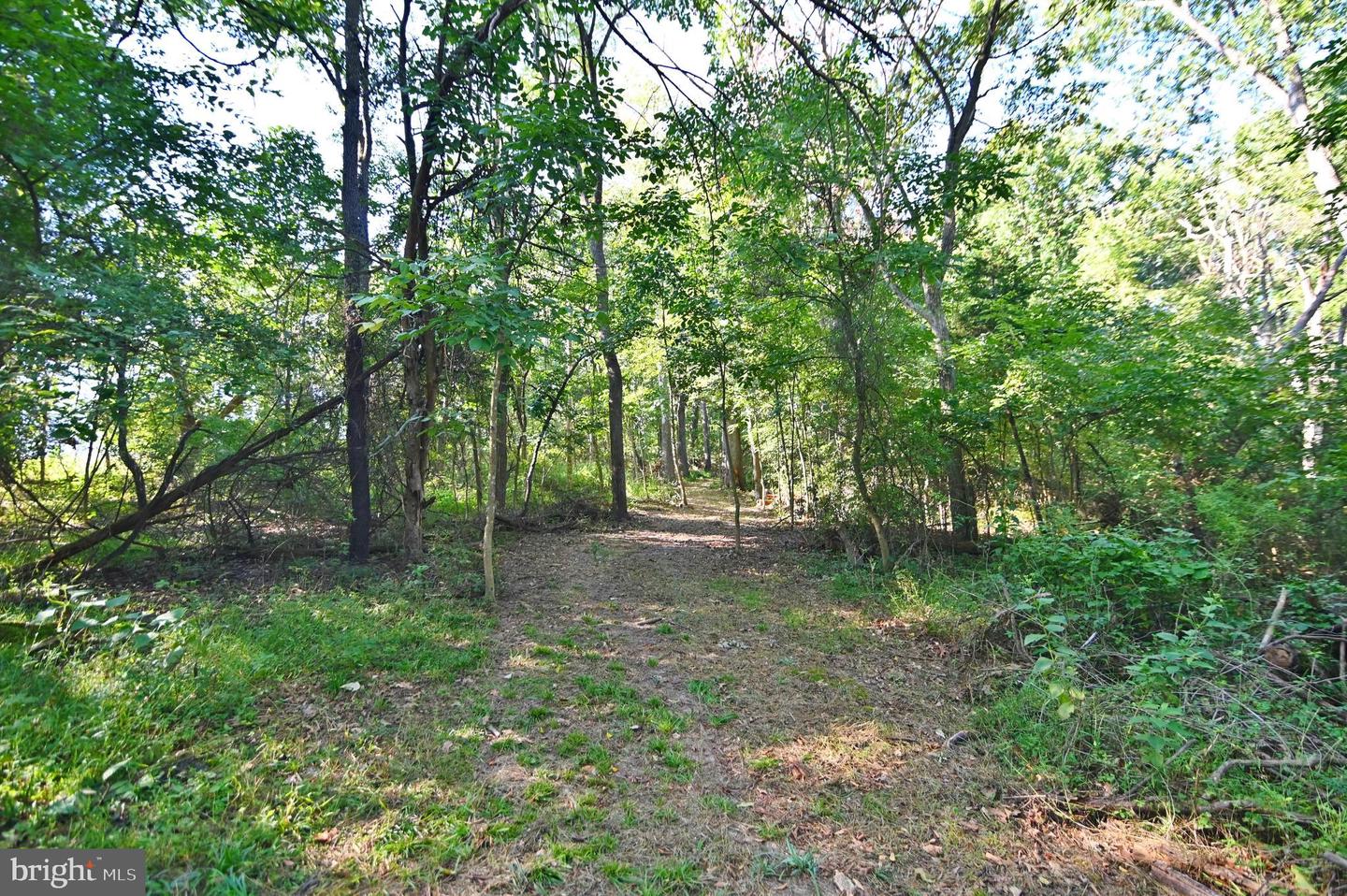 OAK HAVEN LN, NEW MARKET, Virginia 22844, ,Land,For sale,OAK HAVEN LN,VASH2009510 MLS # VASH2009510