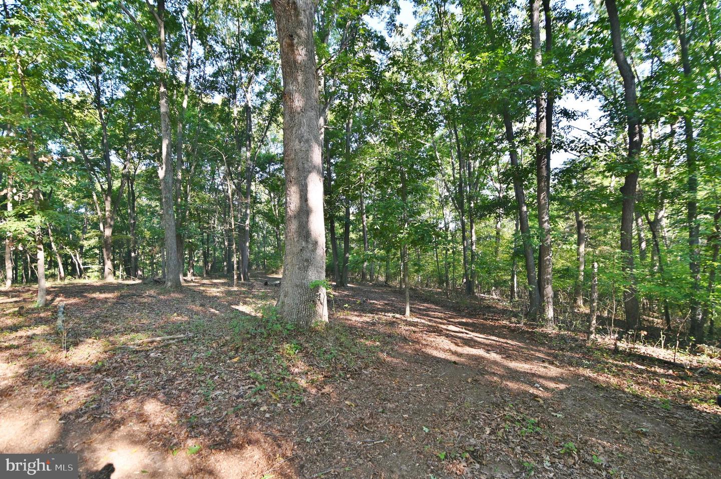 OAK HAVEN LN, NEW MARKET, Virginia 22844, ,Land,For sale,OAK HAVEN LN,VASH2009510 MLS # VASH2009510