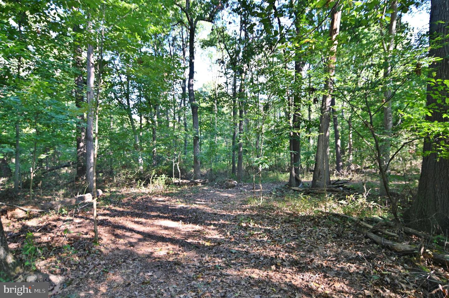 OAK HAVEN LN, NEW MARKET, Virginia 22844, ,Land,For sale,OAK HAVEN LN,VASH2009510 MLS # VASH2009510