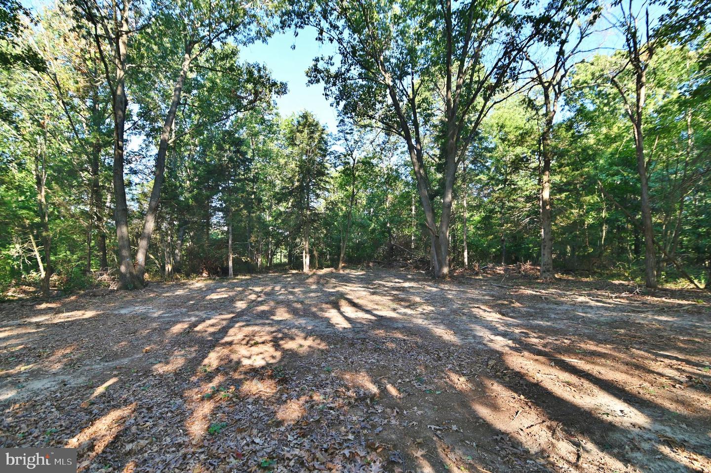 OAK HAVEN LN, NEW MARKET, Virginia 22844, ,Land,For sale,OAK HAVEN LN,VASH2009510 MLS # VASH2009510