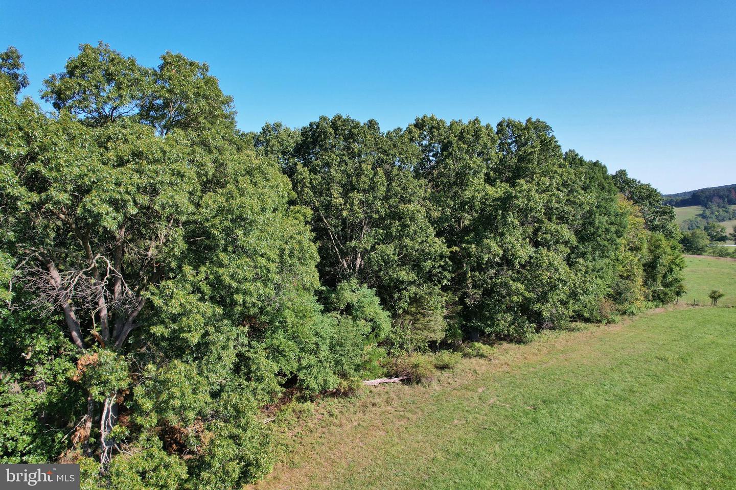 OAK HAVEN LN, NEW MARKET, Virginia 22844, ,Land,For sale,OAK HAVEN LN,VASH2009510 MLS # VASH2009510