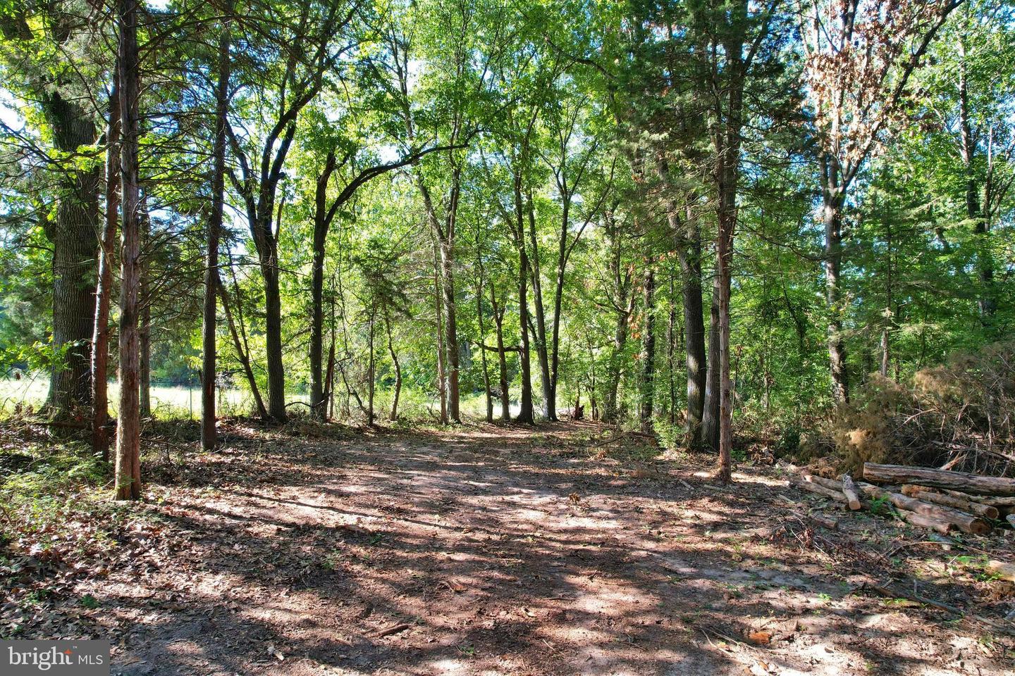 OAK HAVEN LN, NEW MARKET, Virginia 22844, ,Land,For sale,OAK HAVEN LN,VASH2009510 MLS # VASH2009510