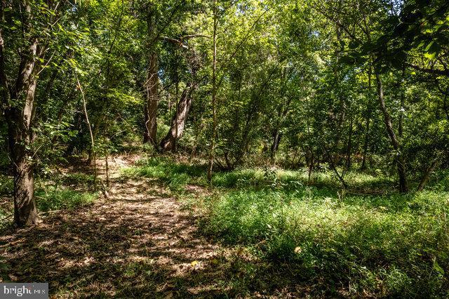 0 MILL RUN RD, SHENANDOAH, Virginia 22849, ,Land,For sale,0 MILL RUN RD,VAPA2003994 MLS # VAPA2003994