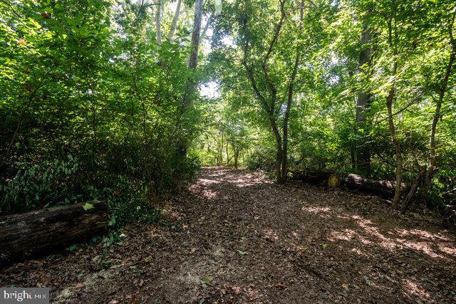 0 MILL RUN RD, SHENANDOAH, Virginia 22849, ,Land,For sale,0 MILL RUN RD,VAPA2003994 MLS # VAPA2003994