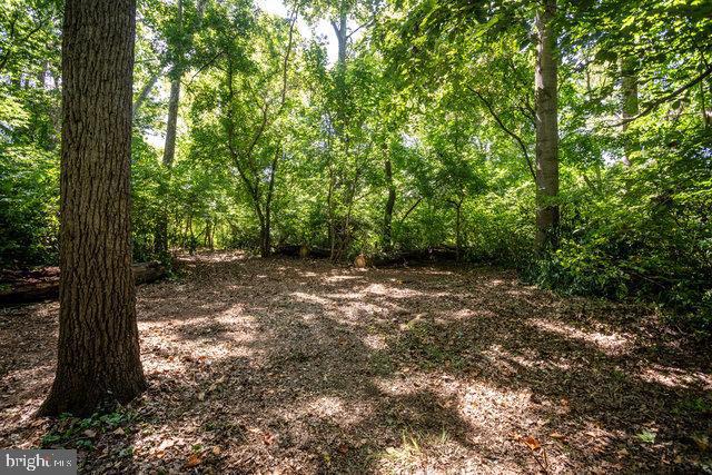 0 MILL RUN RD, SHENANDOAH, Virginia 22849, ,Land,For sale,0 MILL RUN RD,VAPA2003994 MLS # VAPA2003994