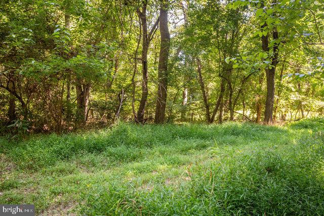 0 MILL RUN RD, SHENANDOAH, Virginia 22849, ,Land,For sale,0 MILL RUN RD,VAPA2003994 MLS # VAPA2003994