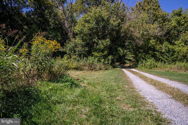 0 MILL RUN RD, SHENANDOAH, Virginia 22849, ,Land,For sale,0 MILL RUN RD,VAPA2003994 MLS # VAPA2003994