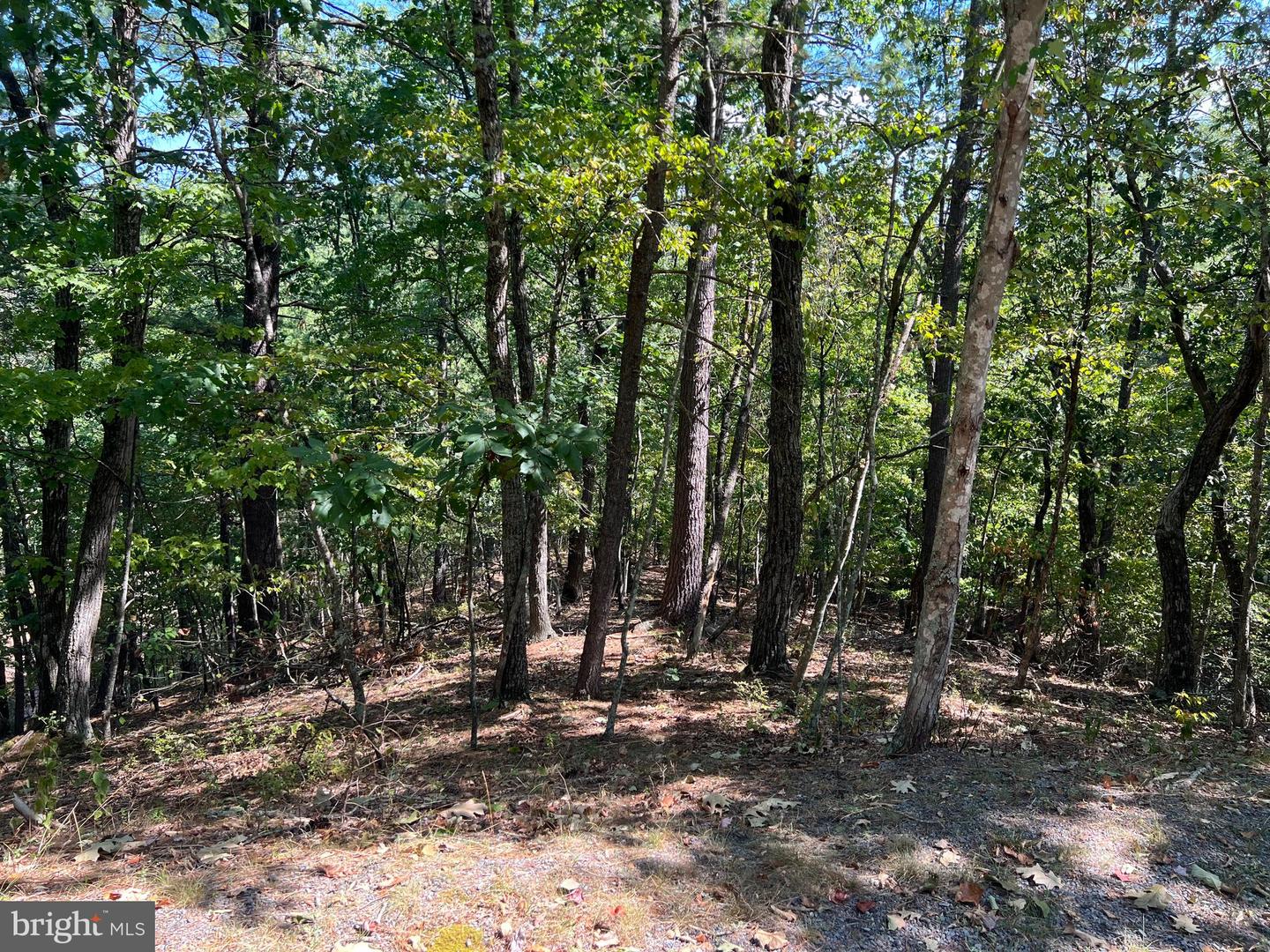 0 BRECKINRIDGE RD, BASYE, Virginia 22810, ,Land,For sale,0 BRECKINRIDGE RD,VASH2008598 MLS # VASH2008598