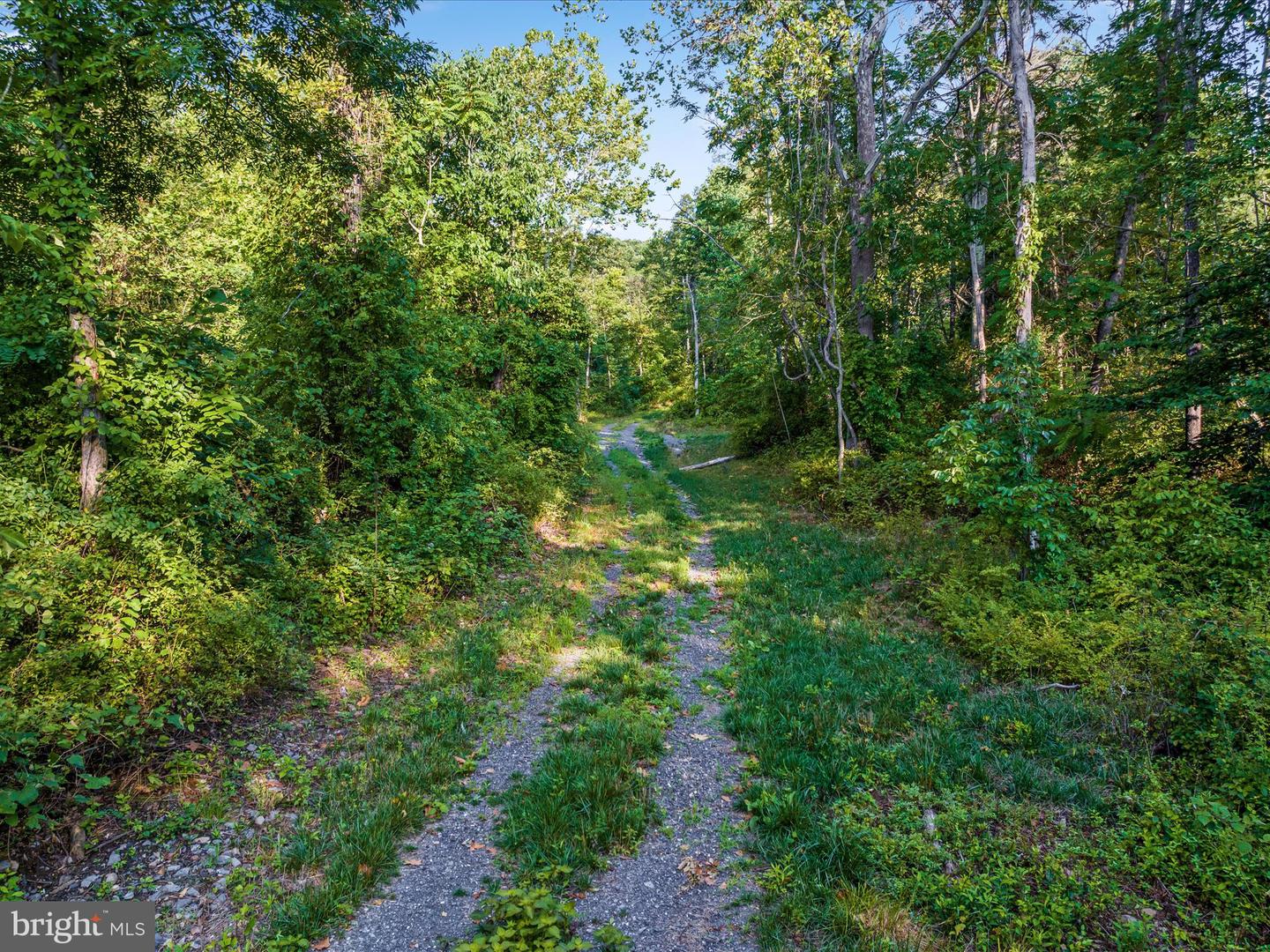 0 GOONEY MANOR LOOP, BENTONVILLE, Virginia 22610, ,Land,For sale,0 GOONEY MANOR LOOP,VAWR2009050 MLS # VAWR2009050