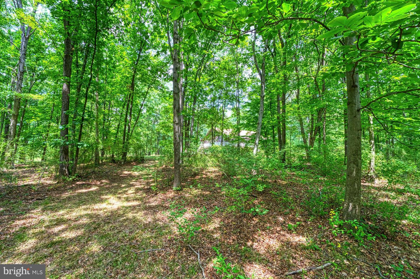 43511 LOST CORNER RD, LEESBURG, Virginia 20176, ,Land,For sale,43511 LOST CORNER RD,VALO2079774 MLS # VALO2079774