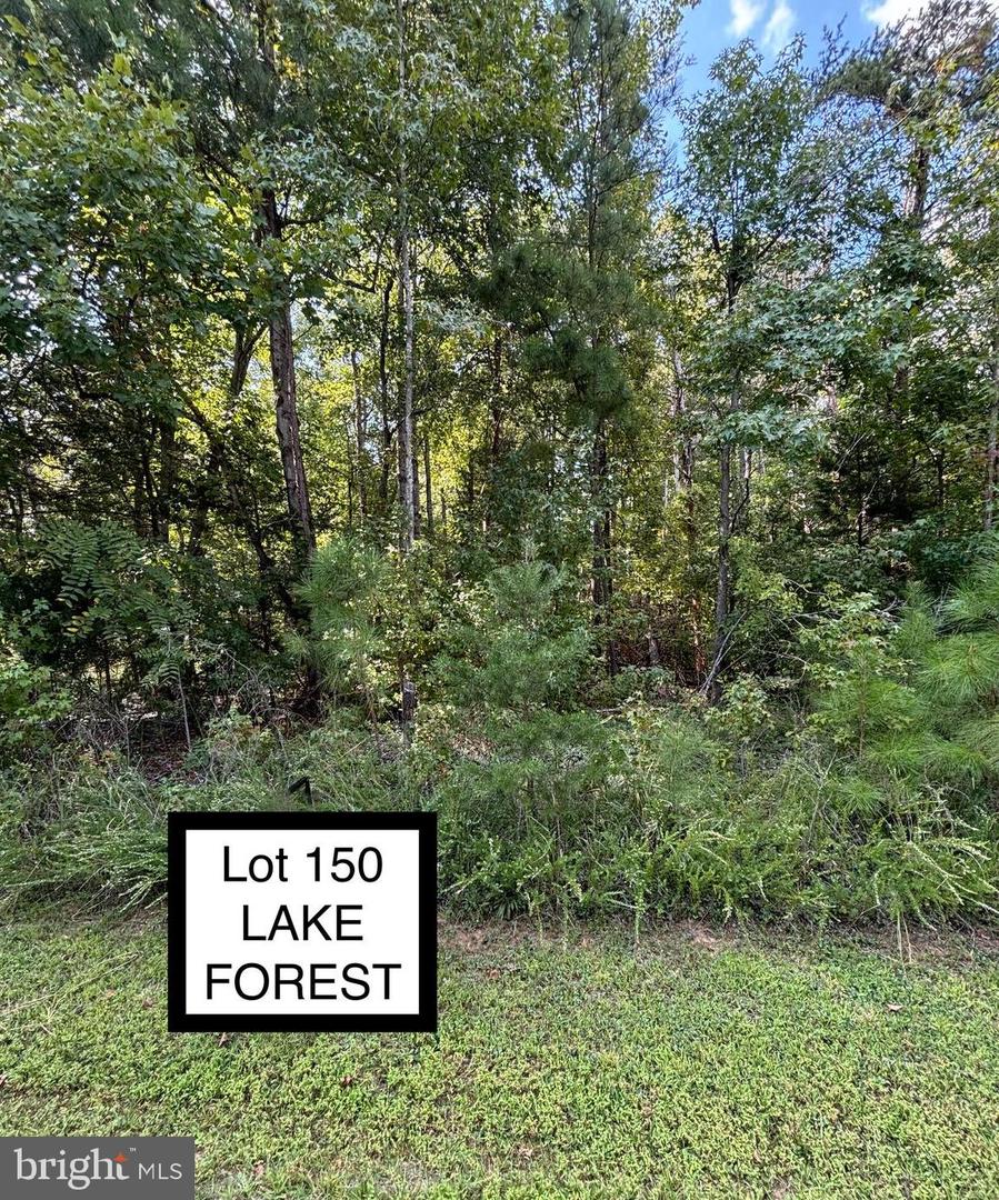 LOT 150 LAKE FOREST DR, MINERAL, Virginia 23117, ,Land,For sale,LOT 150 LAKE FOREST DR,VALA2006352 MLS # VALA2006352