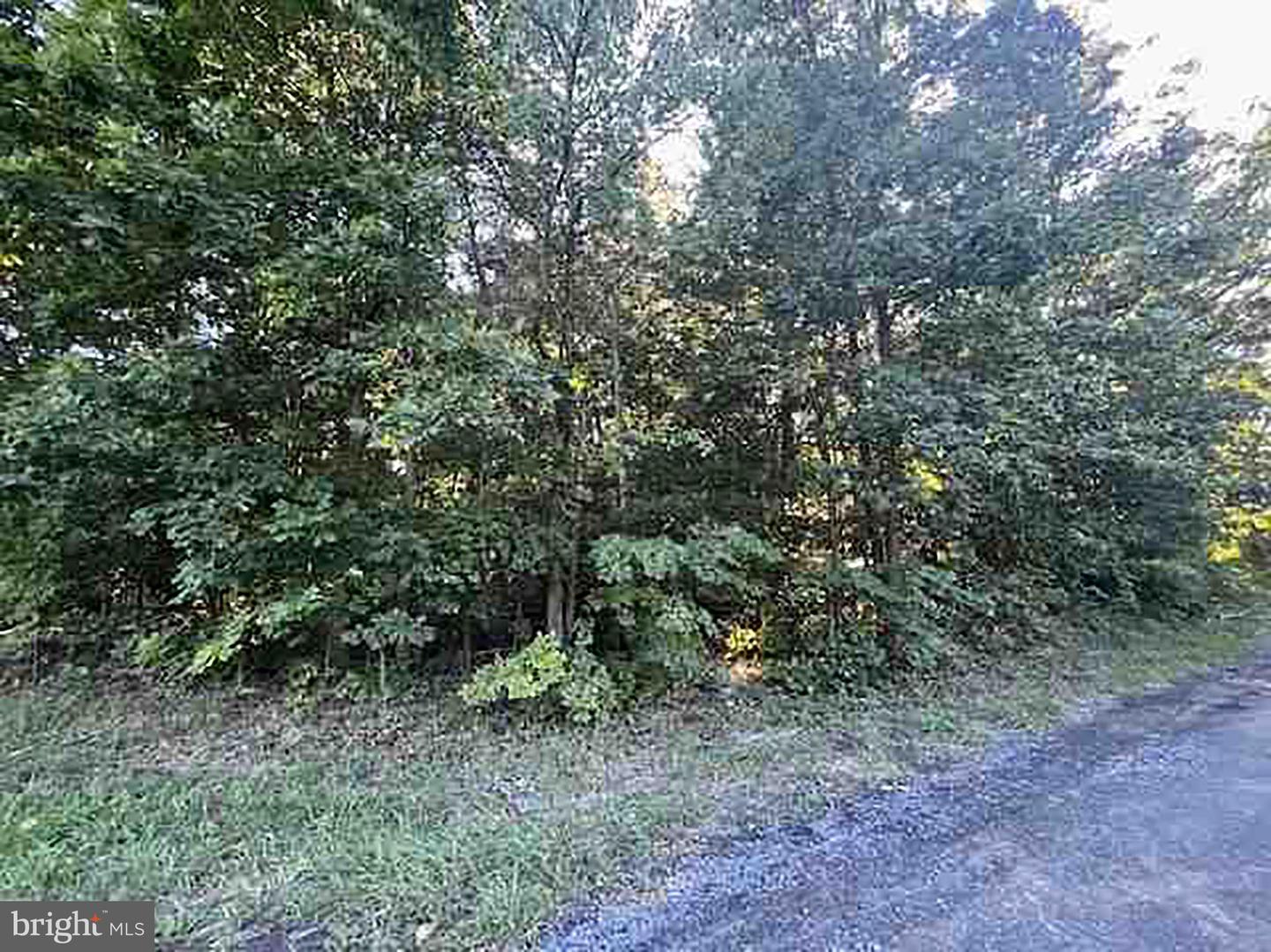 7300 JAMES MADISON HWY, GAINESVILLE, Virginia 20155, ,Land,For sale,7300 JAMES MADISON HWY,VAPW2079360 MLS # VAPW2079360