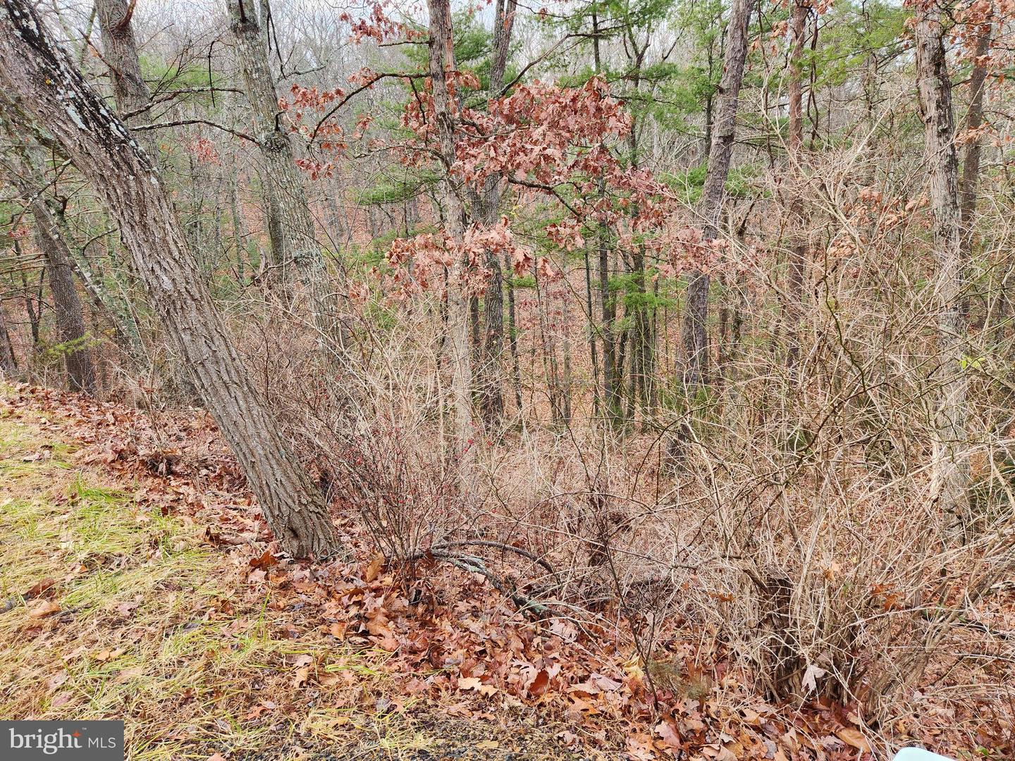 MOCCASIN, BASYE, Virginia 22810, ,Land,For sale,MOCCASIN,VASH2009550 MLS # VASH2009550