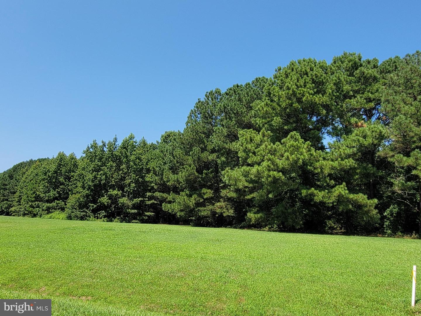 LOT D3 KINGSCOTE DR, LOTTSBURG, Virginia 22511, ,Land,For sale,LOT D3 KINGSCOTE DR,VANV2001310 MLS # VANV2001310