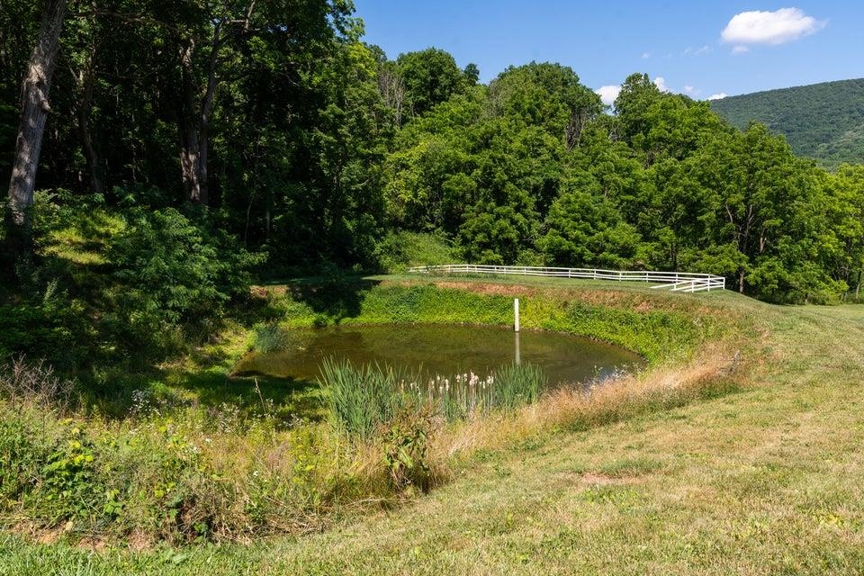 6325 SAM SNEAD HWY, HOT SPRINGS, Virginia 24445, 5 Bedrooms Bedrooms, ,3 BathroomsBathrooms,Residential,Seven Springs Farm,6325 SAM SNEAD HWY,656752 MLS # 656752