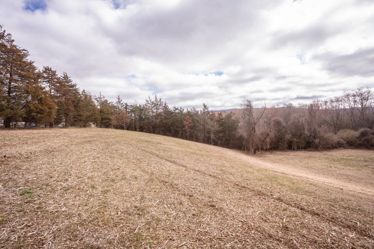 TBD CARY ST, GROTTOES, Virginia 24441, ,Land,TBD CARY ST,656762 MLS # 656762