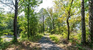 TBD COLD SPRINGS RD, GREENVILLE, Virginia 24440, ,Land,TBD COLD SPRINGS RD,656785 MLS # 656785