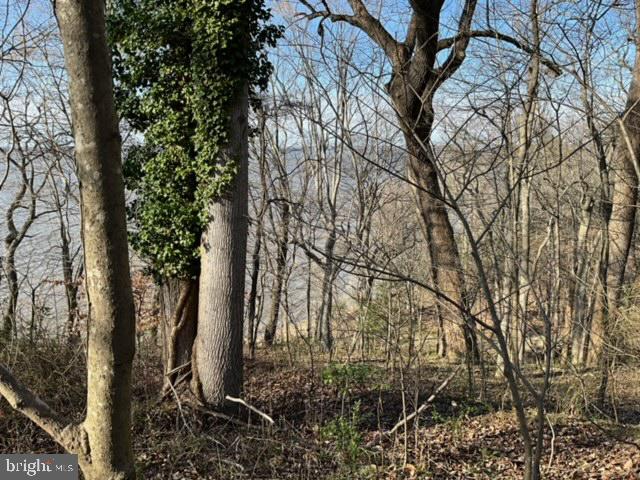 0 WELLINGTON, KING GEORGE, Virginia 22485, ,Land,For sale,0 WELLINGTON,VAKG2005442 MLS # VAKG2005442