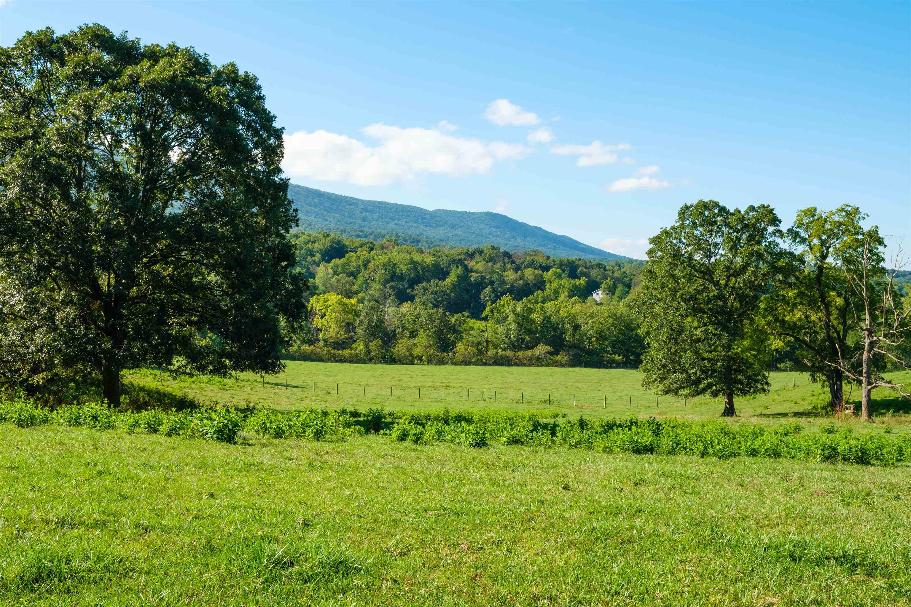 Luray Mountain