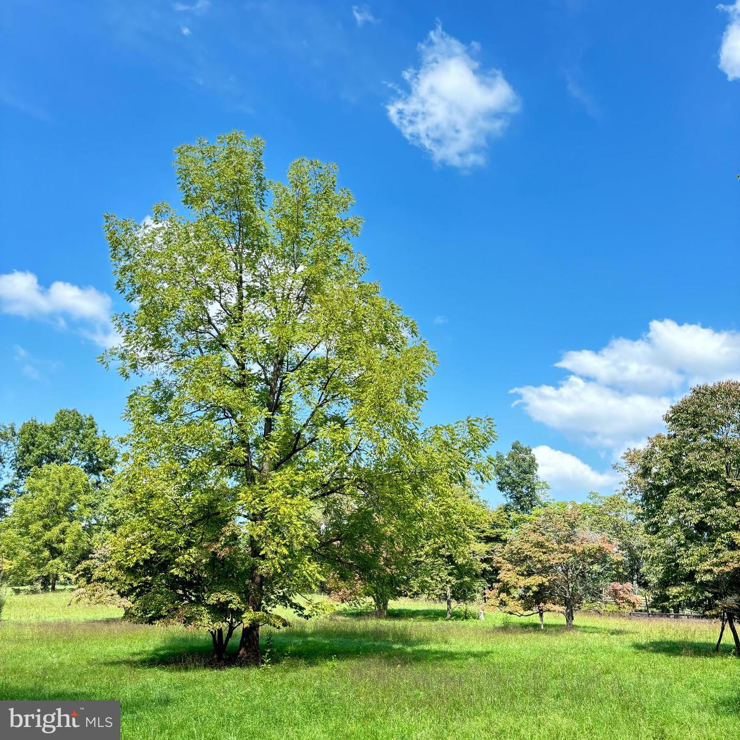 6589 ROCKHILL MILL, THE PLAINS, Virginia 20198, ,Land,For sale,6589 ROCKHILL MILL,VAFQ2013828 MLS # VAFQ2013828