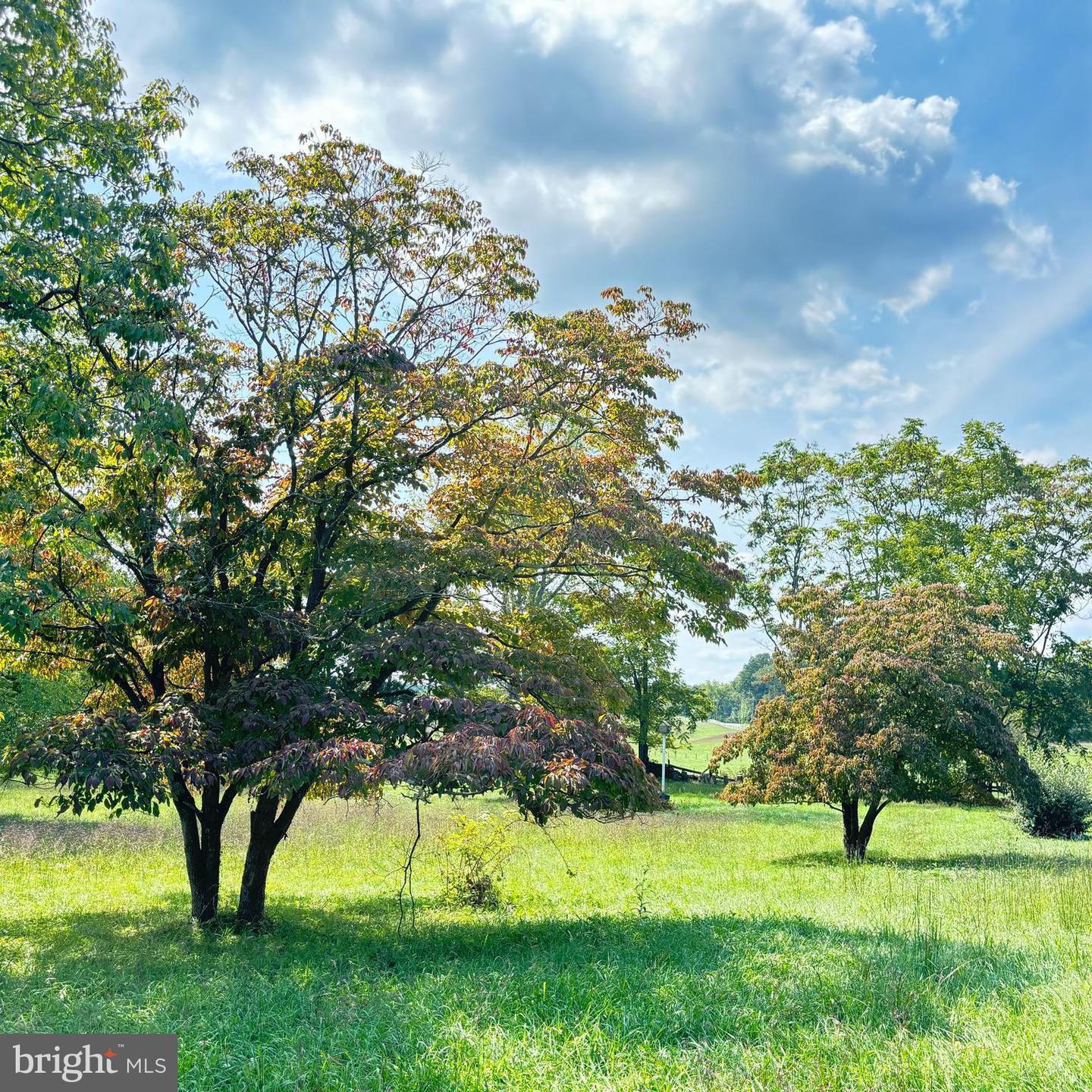 6589 ROCKHILL MILL, THE PLAINS, Virginia 20198, ,Land,For sale,6589 ROCKHILL MILL,VAFQ2013828 MLS # VAFQ2013828