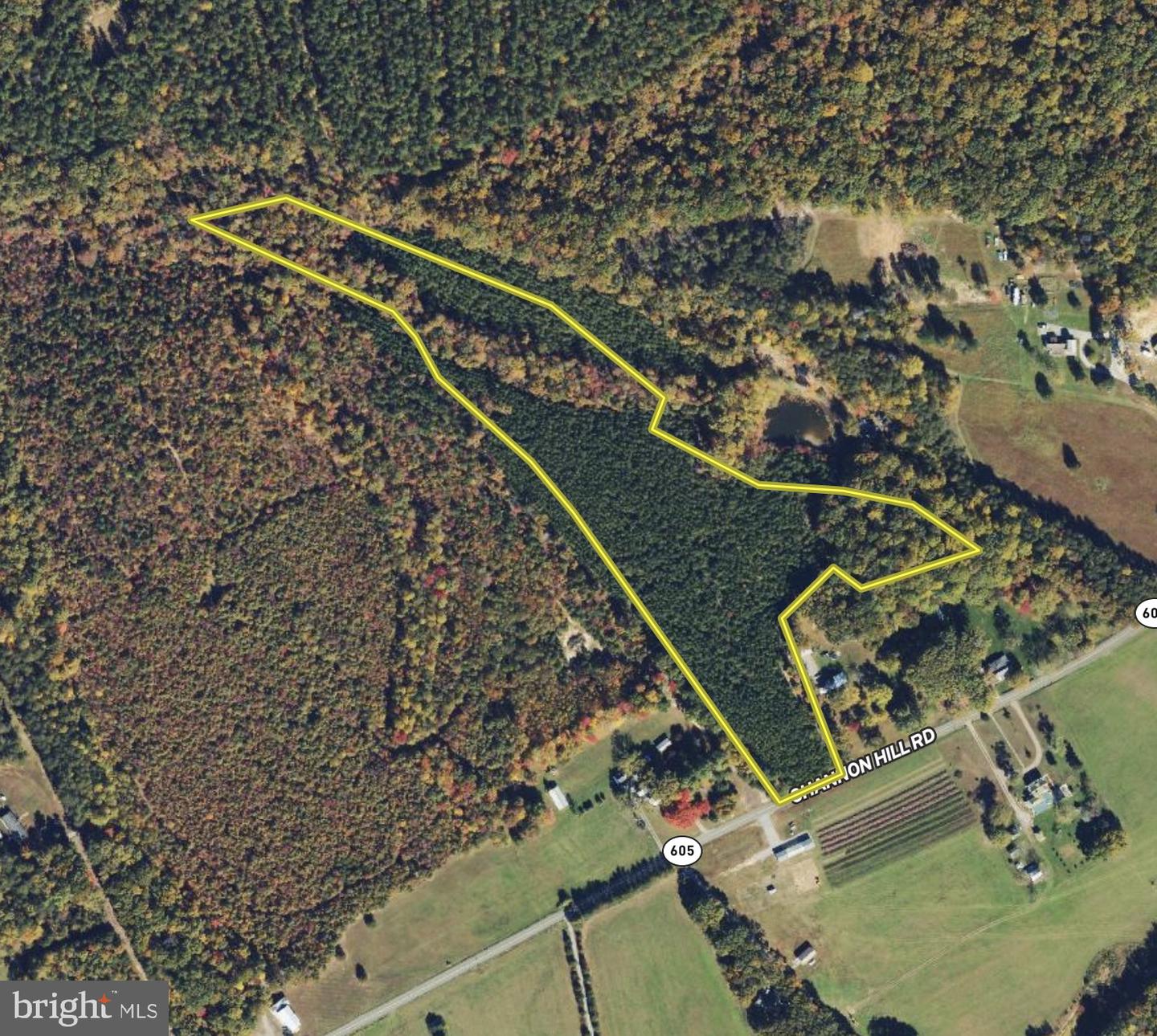 TBD SHANNON HILL RD, LOUISA, Virginia 23093, ,Land,For sale,TBD SHANNON HILL RD,VALA2006362 MLS # VALA2006362