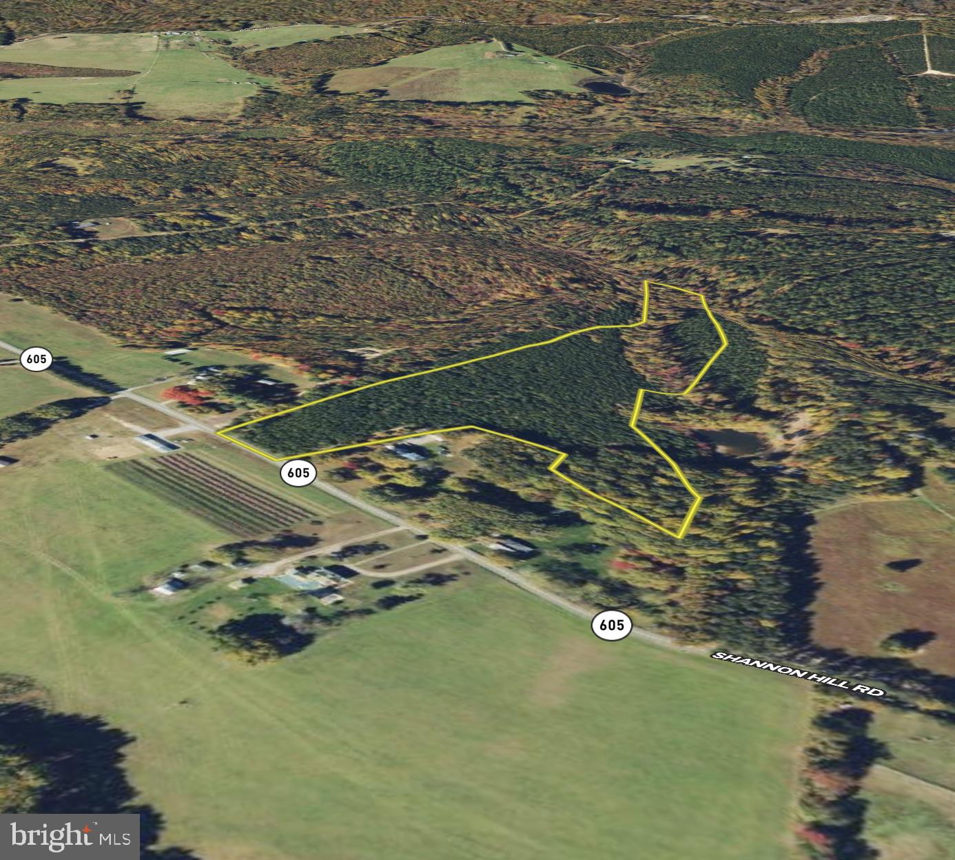 TBD SHANNON HILL RD, LOUISA, Virginia 23093, ,Land,For sale,TBD SHANNON HILL RD,VALA2006362 MLS # VALA2006362