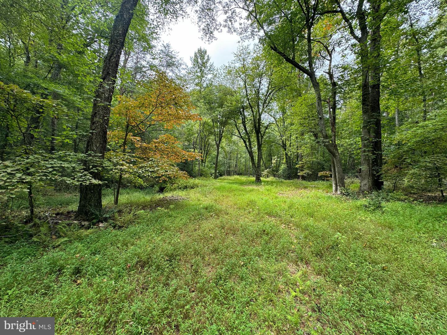 LOT 0110 MOUNTAIN TRACK RD, ORANGE, Virginia 22960, ,Land,For sale,LOT 0110 MOUNTAIN TRACK RD,VAOR2007968 MLS # VAOR2007968