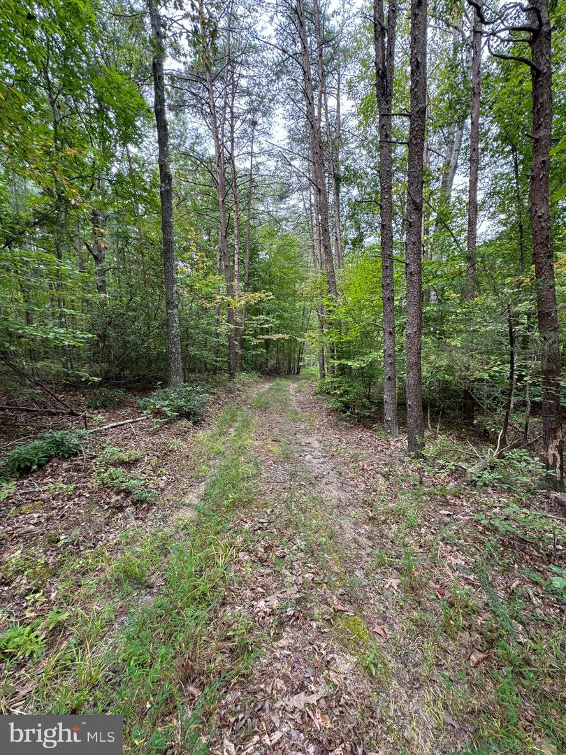 LOT 0110 MOUNTAIN TRACK RD, ORANGE, Virginia 22960, ,Land,For sale,LOT 0110 MOUNTAIN TRACK RD,VAOR2007968 MLS # VAOR2007968