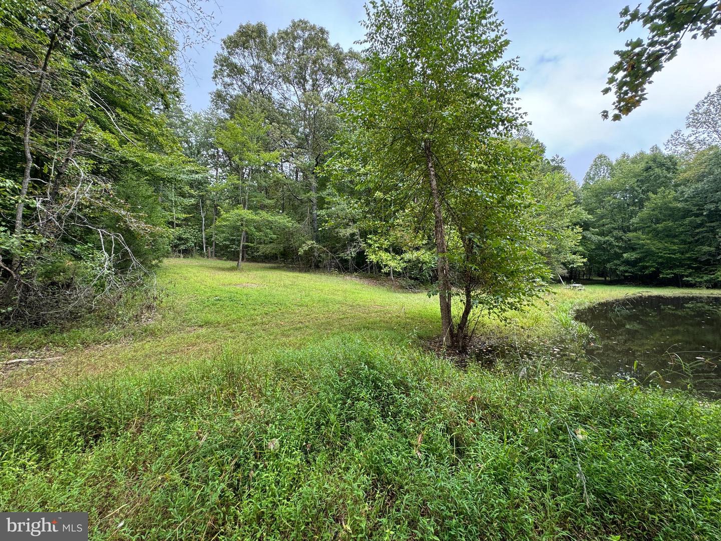 LOT 0110 MOUNTAIN TRACK RD, ORANGE, Virginia 22960, ,Land,For sale,LOT 0110 MOUNTAIN TRACK RD,VAOR2007968 MLS # VAOR2007968