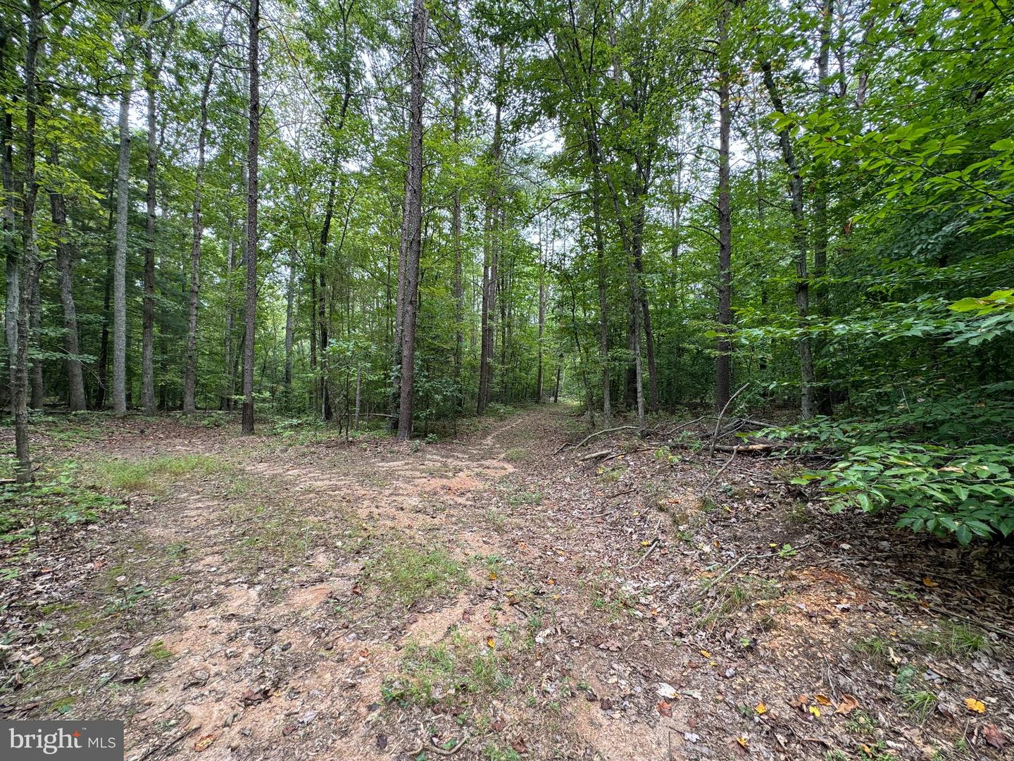 LOT 0110 MOUNTAIN TRACK RD, ORANGE, Virginia 22960, ,Land,For sale,LOT 0110 MOUNTAIN TRACK RD,VAOR2007968 MLS # VAOR2007968