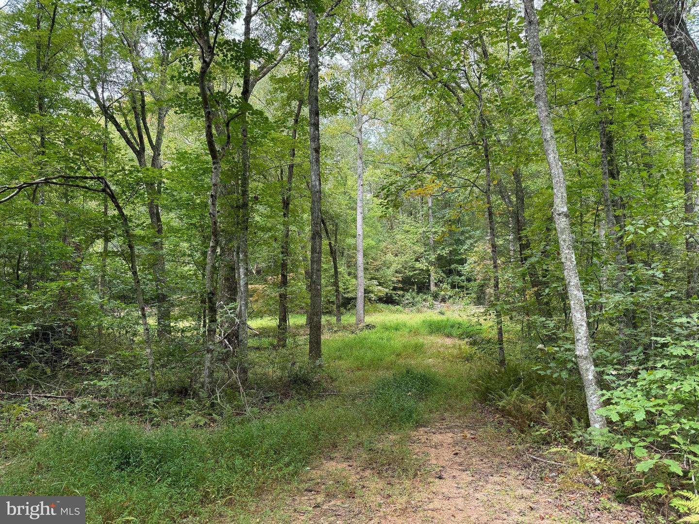 LOT 0110 MOUNTAIN TRACK RD, ORANGE, Virginia 22960, ,Land,For sale,LOT 0110 MOUNTAIN TRACK RD,VAOR2007968 MLS # VAOR2007968