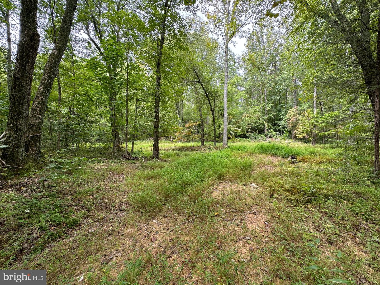 LOT 0110 MOUNTAIN TRACK RD, ORANGE, Virginia 22960, ,Land,For sale,LOT 0110 MOUNTAIN TRACK RD,VAOR2007968 MLS # VAOR2007968