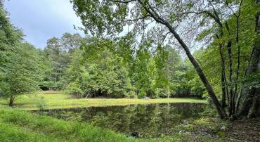 LOT 0110 MOUNTAIN TRACK RD, ORANGE, Virginia 22960, ,Land,For sale,LOT 0110 MOUNTAIN TRACK RD,VAOR2007968 MLS # VAOR2007968