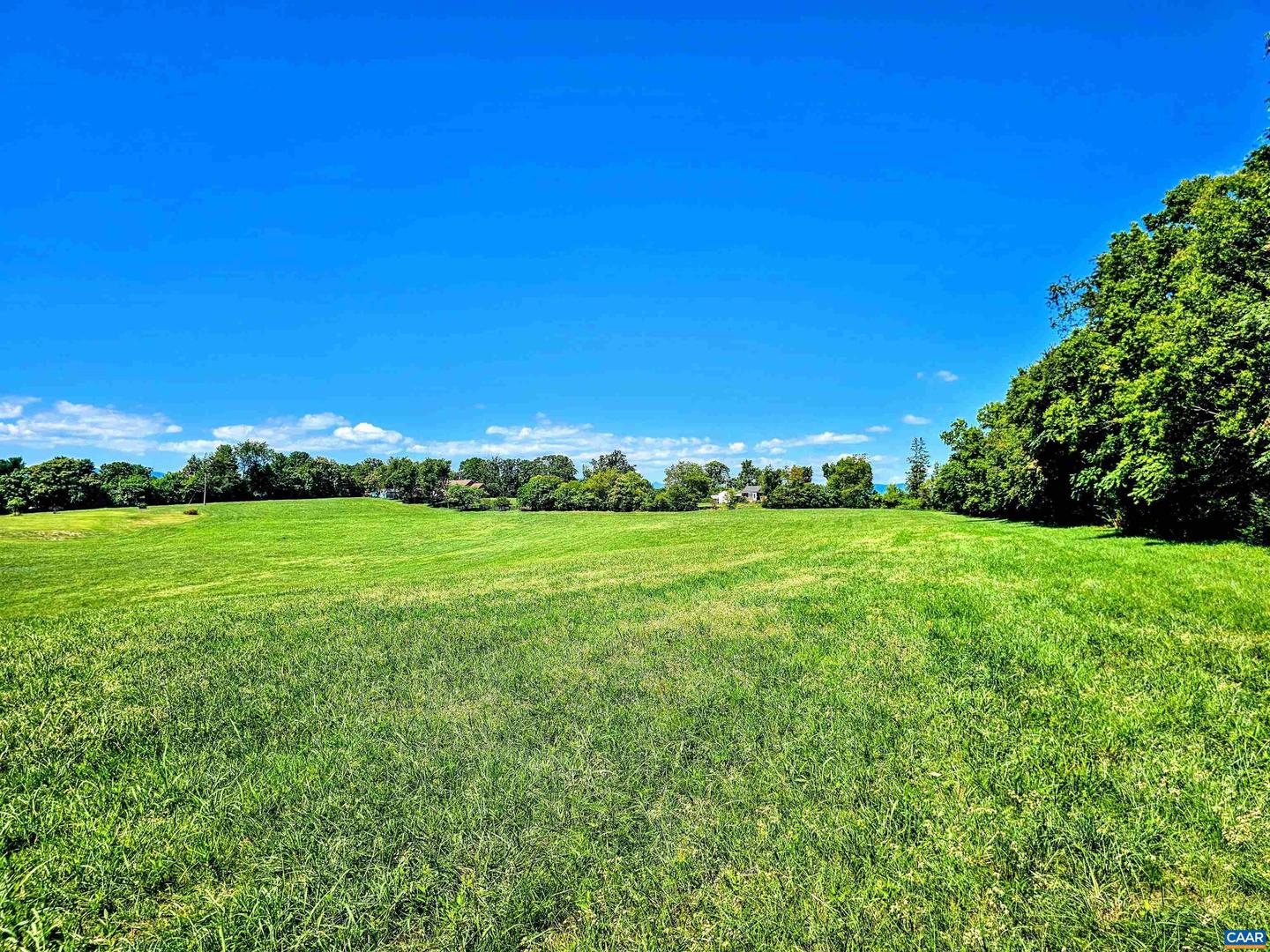 3470 FREDERICKSBURG RD, RUCKERSVILLE, Virginia 22968, ,Land,For sale,3470 FREDERICKSBURG RD,656838 MLS # 656838