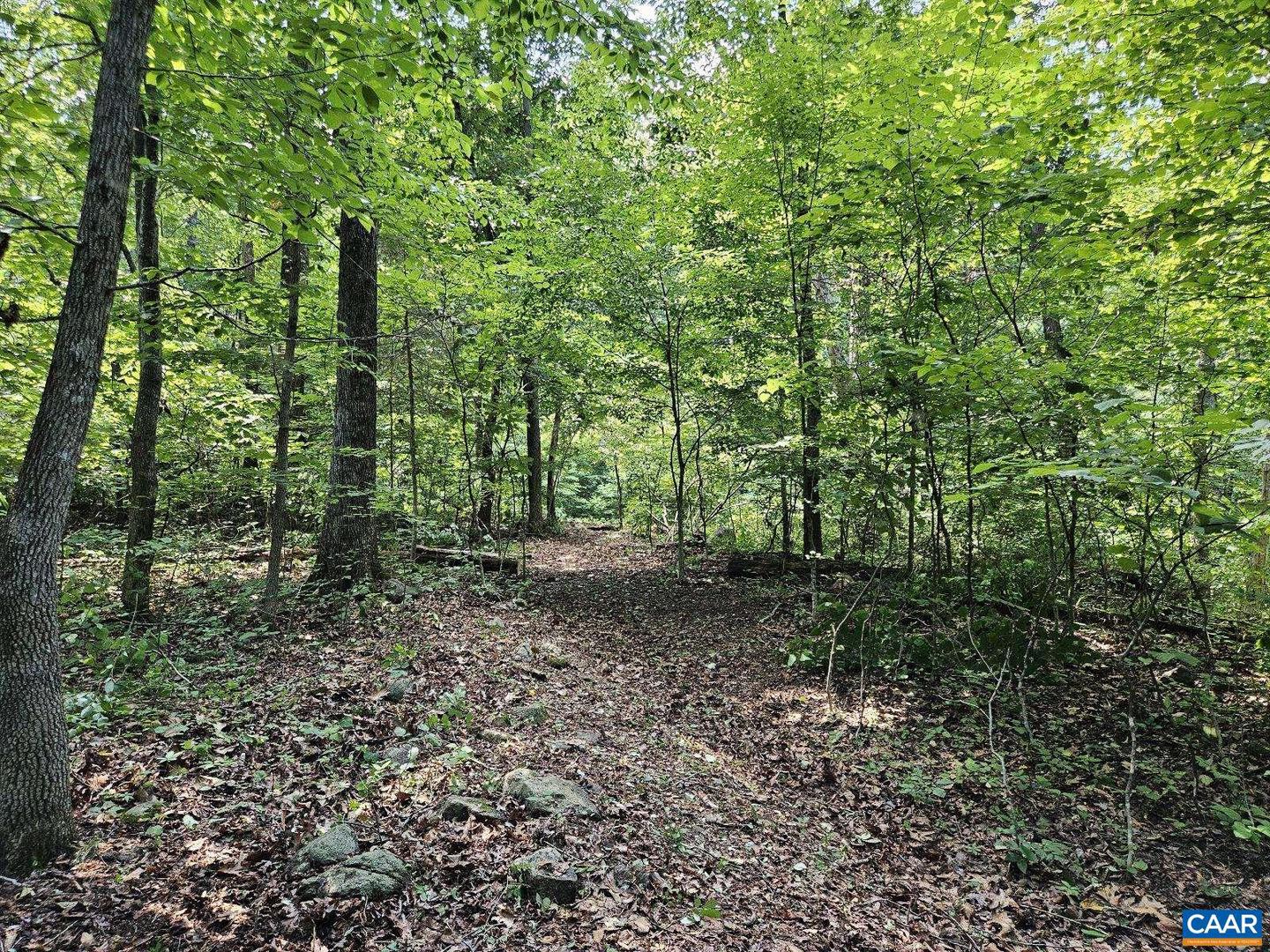 TBD LOT 18 FARMVIEW RD #18, STANARDSVILLE, Virginia 22973, ,Land,For sale,TBD LOT 18 FARMVIEW RD #18,654619 MLS # 654619