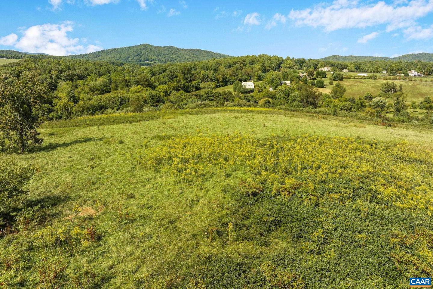 LOT 1, PHASE 4 SYCAMORE CREEK DR #022 J0, NORTH GARDEN, Virginia 22959, ,Land,For sale,LOT 1, PHASE 4 SYCAMORE CREEK DR #022 J0,656507 MLS # 656507