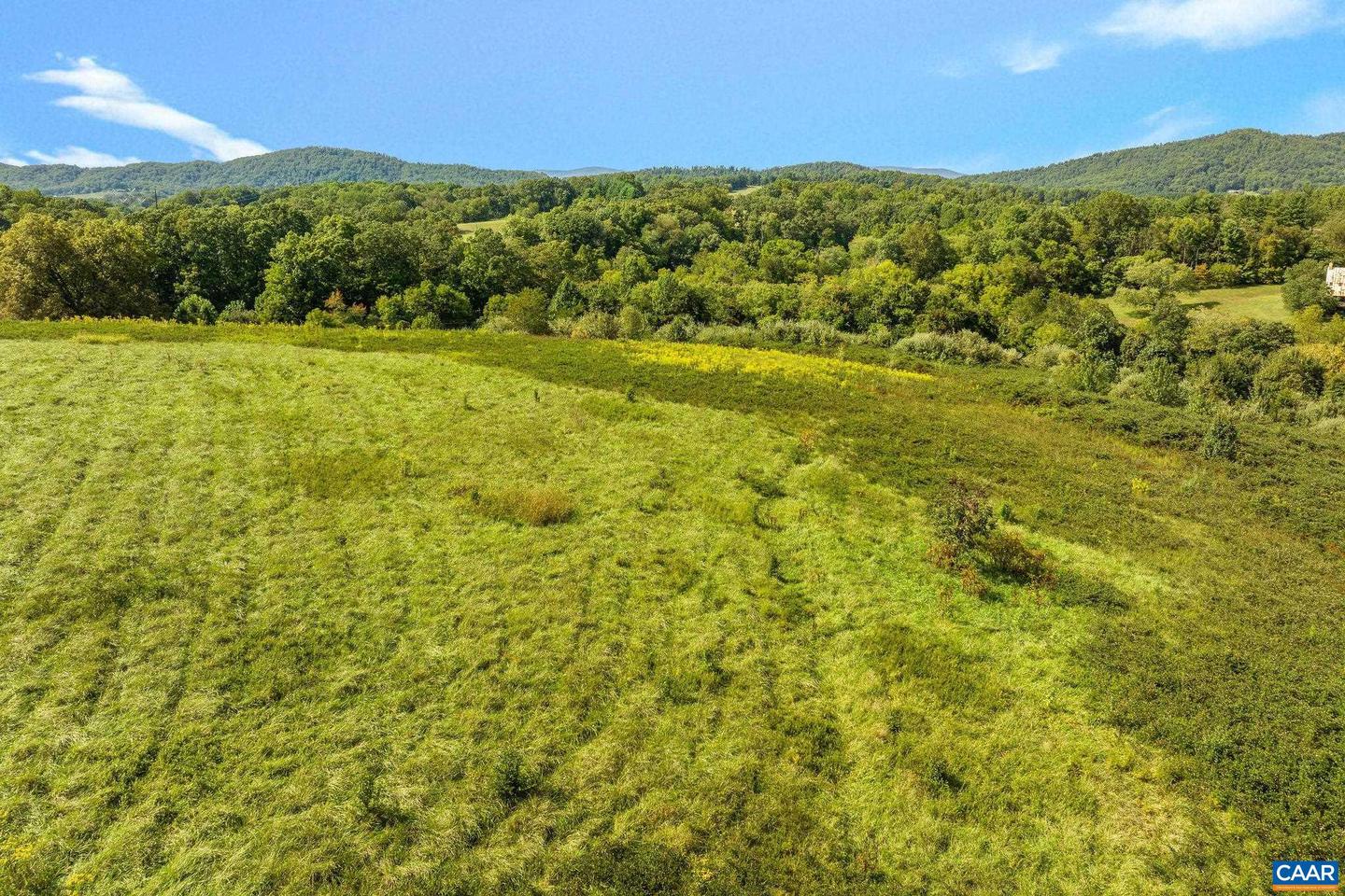 LOT 1, PHASE 4 SYCAMORE CREEK DR #022 J0, NORTH GARDEN, Virginia 22959, ,Land,For sale,LOT 1, PHASE 4 SYCAMORE CREEK DR #022 J0,656507 MLS # 656507