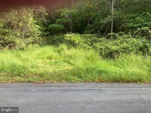 0 JEROME RD, MOUNT JACKSON, Virginia 22842, ,Land,For sale,0 JEROME RD,VASH2009640 MLS # VASH2009640