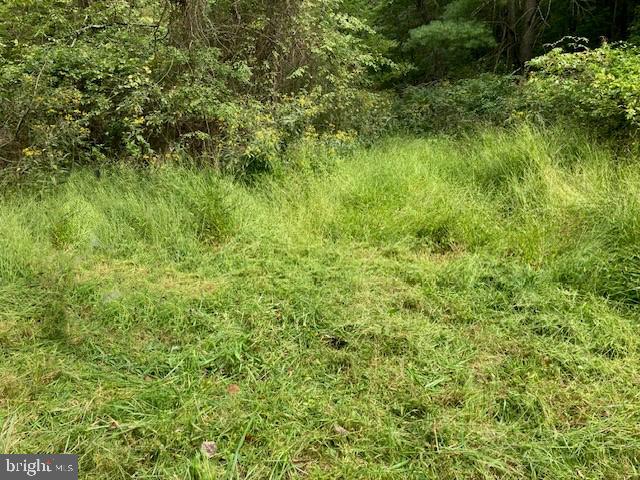 0 JEROME RD, MOUNT JACKSON, Virginia 22842, ,Land,For sale,0 JEROME RD,VASH2009640 MLS # VASH2009640