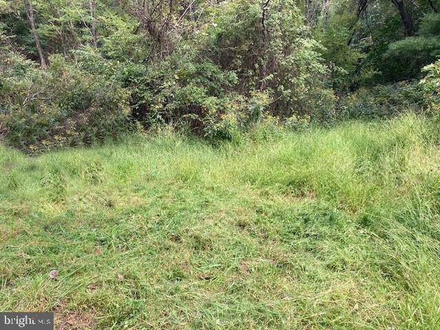 0 JEROME RD, MOUNT JACKSON, Virginia 22842, ,Land,For sale,0 JEROME RD,VASH2009640 MLS # VASH2009640