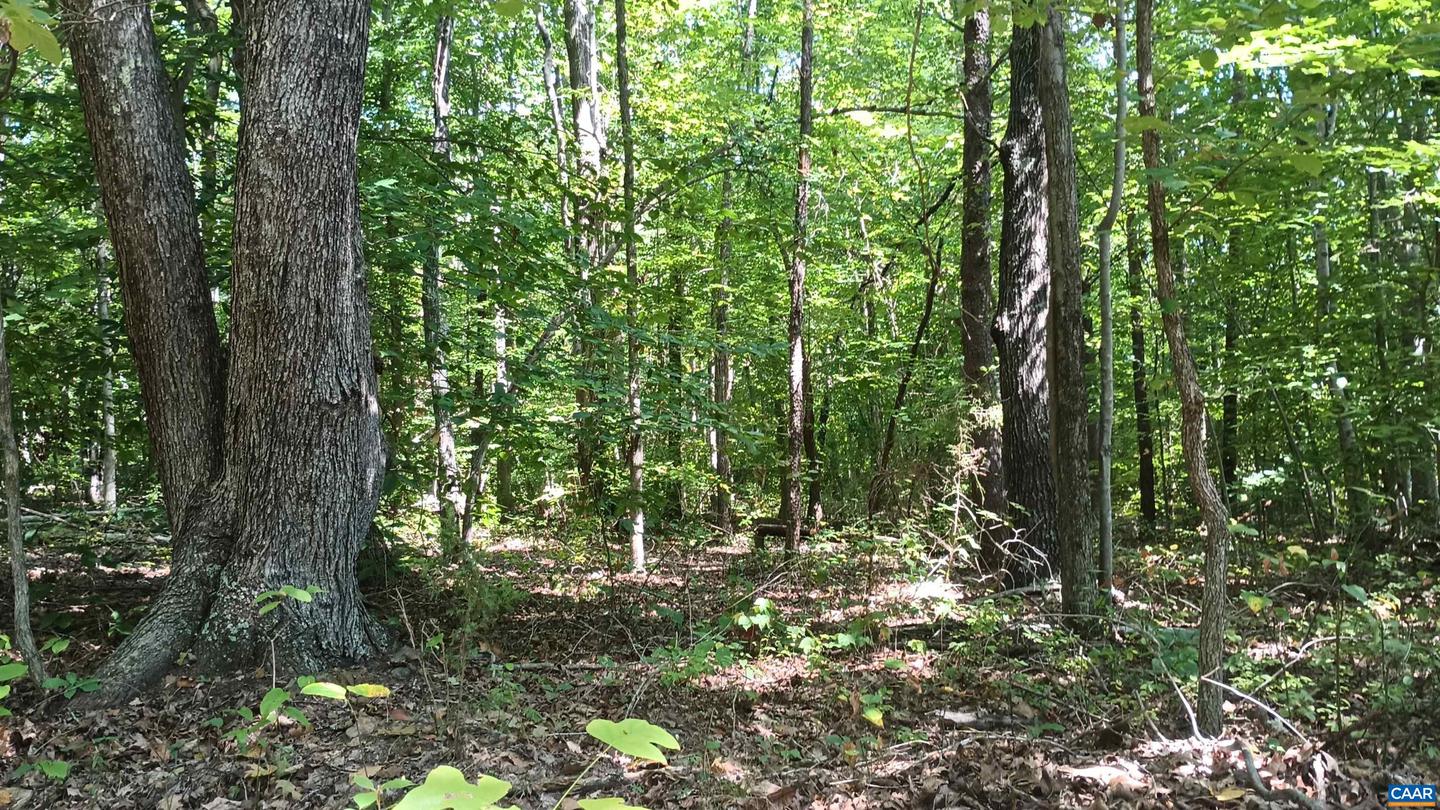 0 GLADE RD #LOT 3, SHIPMAN, Virginia 22971, ,Land,For sale,0 GLADE RD #LOT 3,656884 MLS # 656884