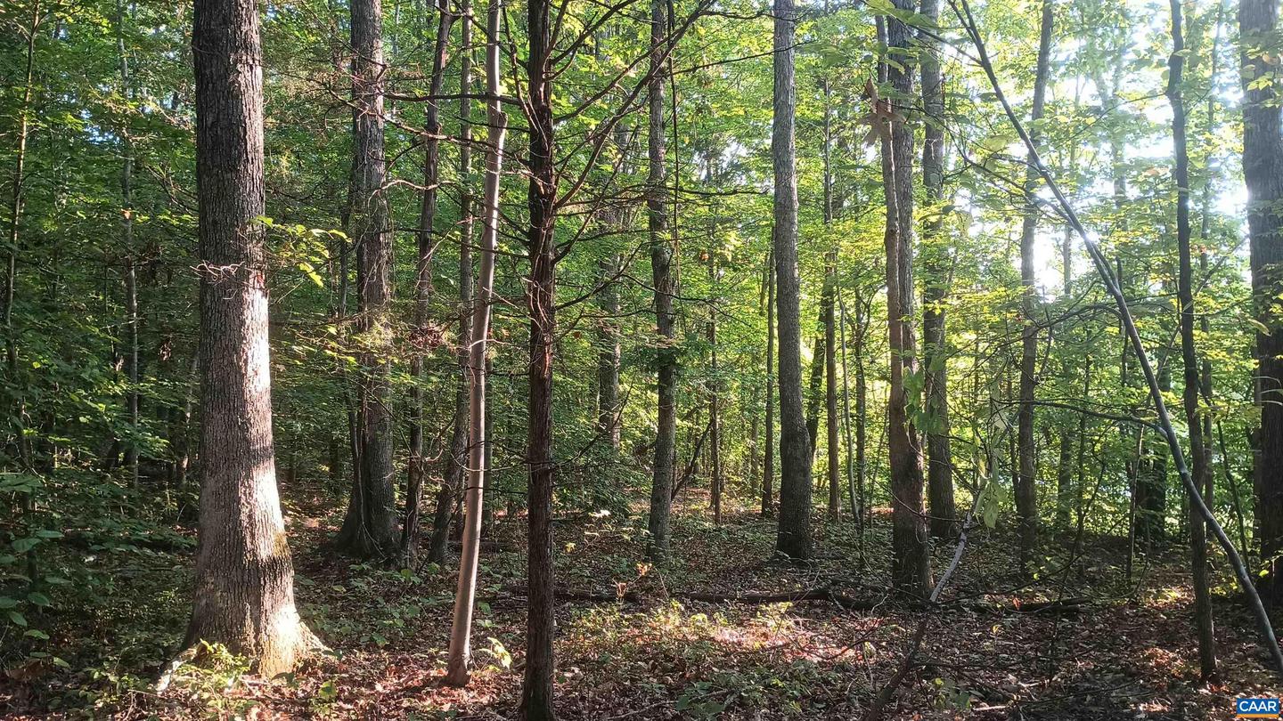 0 GLADE RD #LOT 3, SHIPMAN, Virginia 22971, ,Land,For sale,0 GLADE RD #LOT 3,656884 MLS # 656884