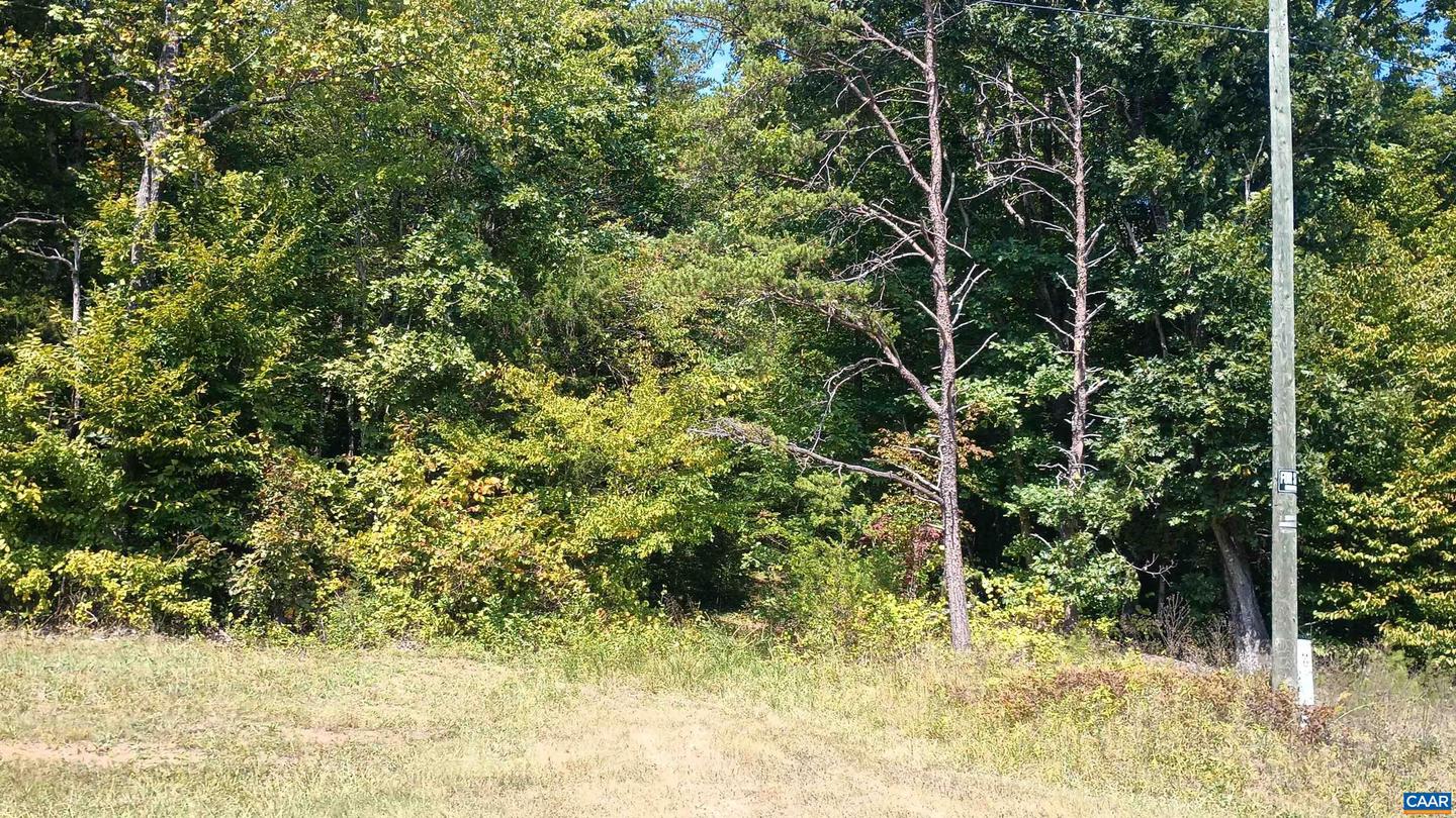 0 GLADE RD #LOT 3, SHIPMAN, Virginia 22971, ,Land,For sale,0 GLADE RD #LOT 3,656884 MLS # 656884